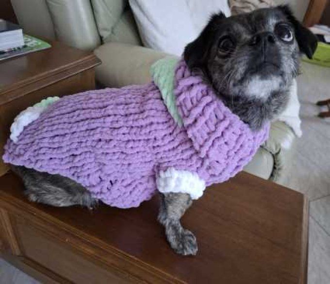 vêtements animaux sur mesure 