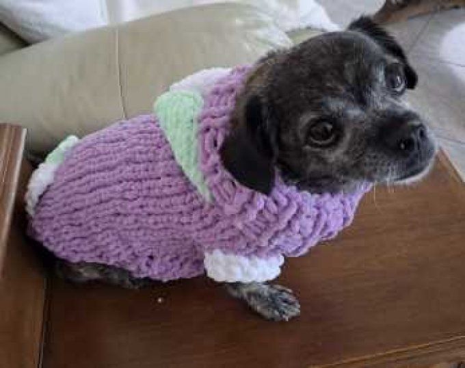 vêtements animaux sur mesure 